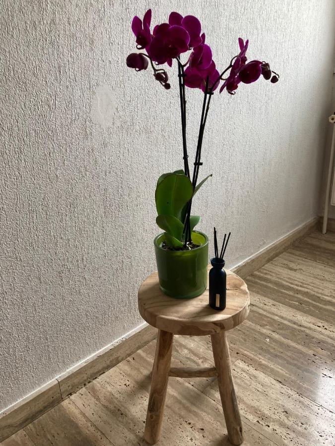 Rustig Appartement In Het Groen Met Terras Kontich Kültér fotó